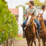 Heart of Chianti Classico - 2 Wineries Lunch included - Chianti Wine Tour - Exploring Chianti Villages and Wineries