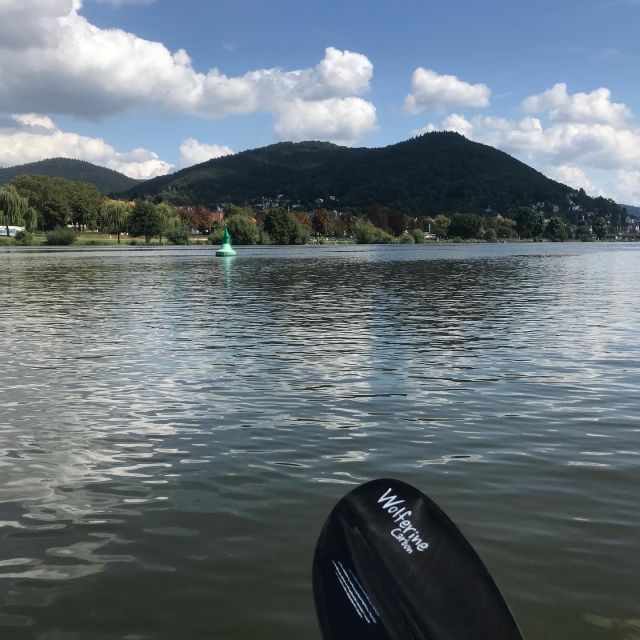 Heidelberg: 2-Hour Kayak Tour - Paddling Past Heidelbergs Old Bridge and Waterfront