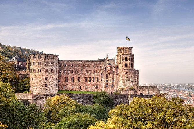 Heidelberg Castle and Old Town Tour from Frankfurt - Exploring Heidelberg Castle’s Historic Ruins