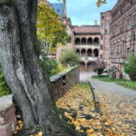 Heidelberg: Discover Heidelberg Castle - experience history up close - The Ride Up to Heidelberg Castle on the Historic Mountain Railroad