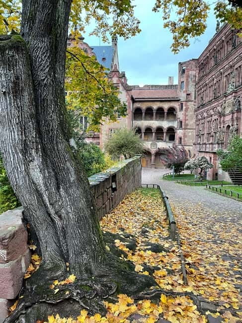 Heidelberg: Discover Heidelberg Castle - experience history up close - The Ride Up to Heidelberg Castle on the Historic Mountain Railroad