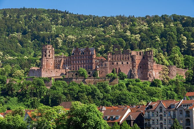 Heidelberg Heritage: Private Old Town and Castle Tour - The Gothic and Romanesque Heiliggeistkirche