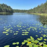 Helsinki: Nuuksio National park hiking with campfire lunch - Highlights of the Scenic Viewpoints and Lakeshore Walks