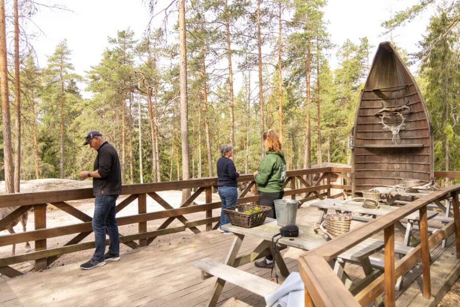 Helsinki: Reindeer Park visit and Buggy Adventure - Luxurious Private Transfer to Uusimaa