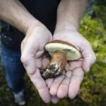 Helsinki: RIB Tour to Summer Cottage with BBQ and Sauna - Starting Point at Café Marina Bay in Helsinki