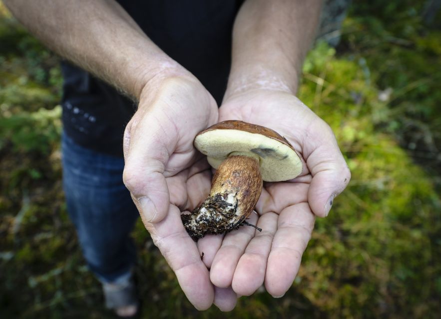 Helsinki: RIB Tour to Summer Cottage with BBQ and Sauna - Starting Point at Café Marina Bay in Helsinki