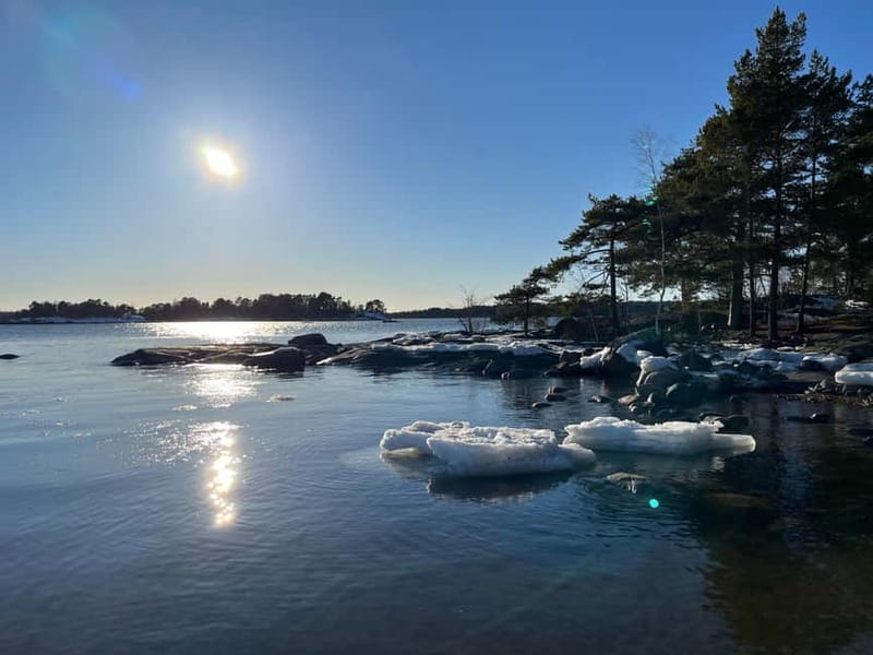 Helsinki: Uutela Guided Nature Hike with Snack - Discovering the Old Forests and Seaviews in Uutela