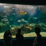 Heraklion Area: CRETAquarium Admission Ticket - Exploring Mediterranean Underwater Landscapes
