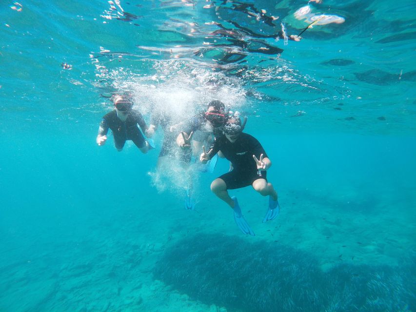 Heraklion: Beginner-Friendly Snorkeling Trip - Meeting and Pickup at Agia Pelagia