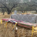 Heraklion: Cretan Farmers Brunch and Olive Grove Tour - The Heraklion Tour Starts at a Traditional Olive Grove and Dragon Fruit Farm