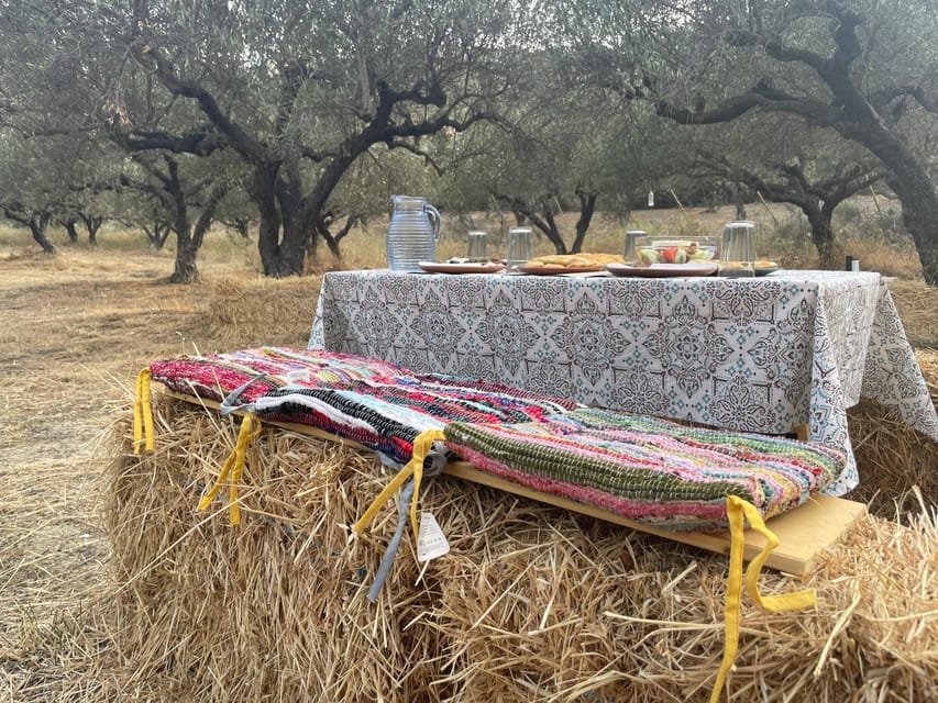 Heraklion: Cretan Farmers Brunch and Olive Grove Tour - The Heraklion Tour Starts at a Traditional Olive Grove and Dragon Fruit Farm