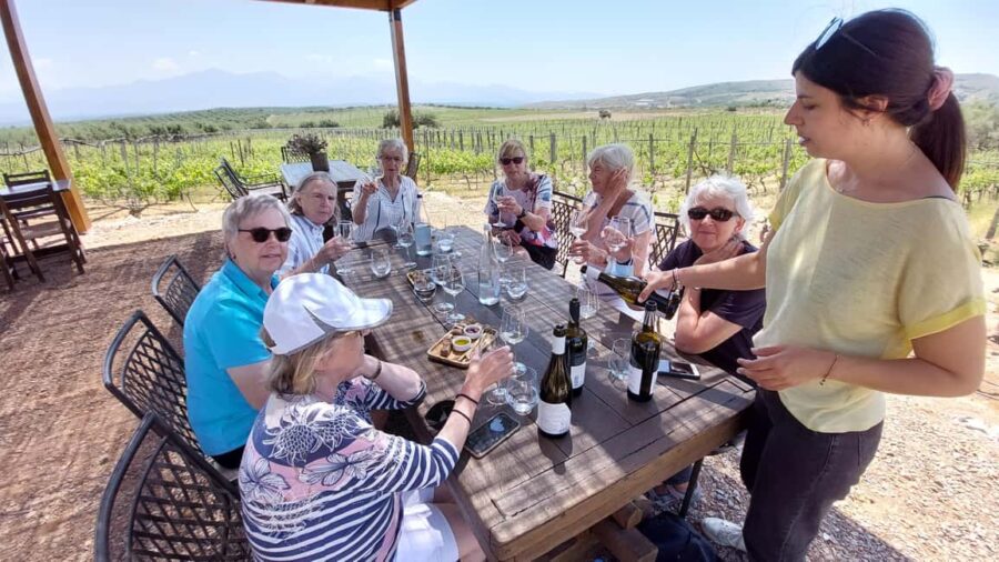 Heraklion: Cretan Wine Tasting Tour & Gourmet Lunch - Tasting 15 Crete Wines with Expert Guidance