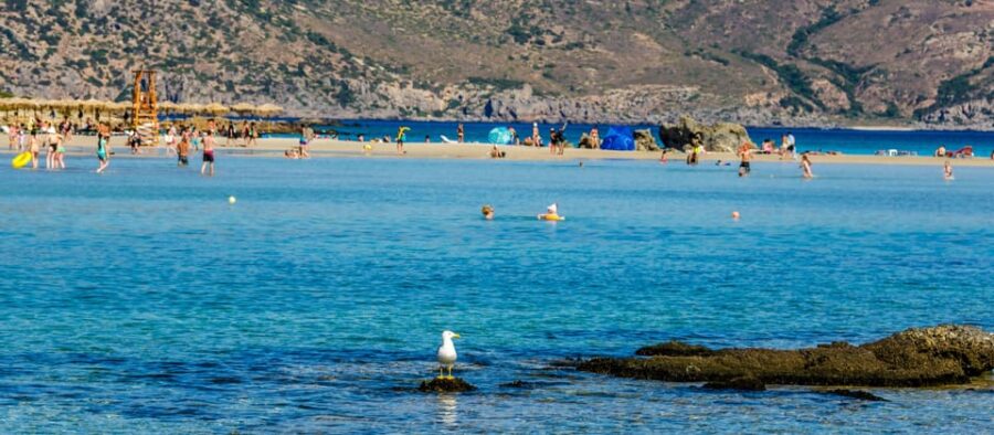 Heraklion: Elafonisi Beach: Discover the Pink Sand Paradise - How the Tour Begins: Convenient Pickup from Multiple Locations