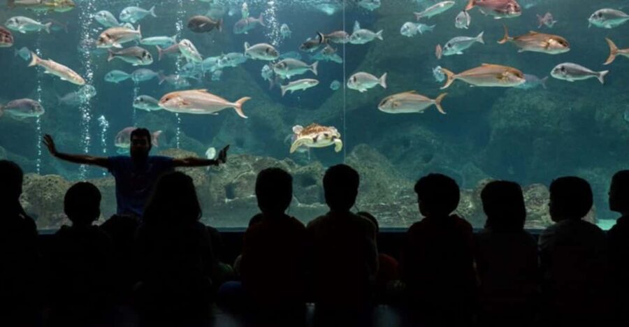 Heraklion: Family Fun Day with Dinosauria and CRETAquarium - Discover the Marine Wonders at CRETAquarium Thalassokosmos