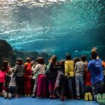 Heraklion: Knossos Private Full-day tour - Convenient Pickup and Drop-off in Heraklion