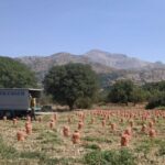 Heraklion to Spinalonga and Lasithi Plateau Land of Zeus - Discovering the Coastal Charm of Agios Nikolaos