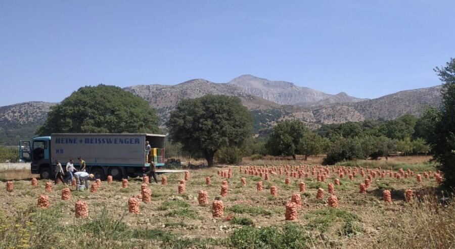 Heraklion to Spinalonga and Lasithi Plateau Land of Zeus - Discovering the Coastal Charm of Agios Nikolaos
