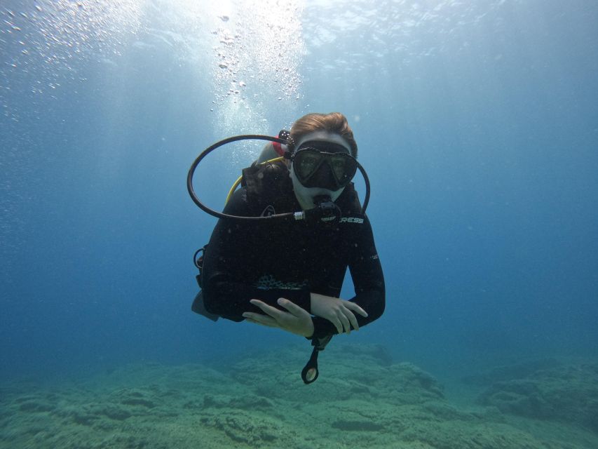 Heraklion: Try Scuba Diving For Beginners (1 dive) - The Shallow Water Exploration in Crete’s Clear Seas