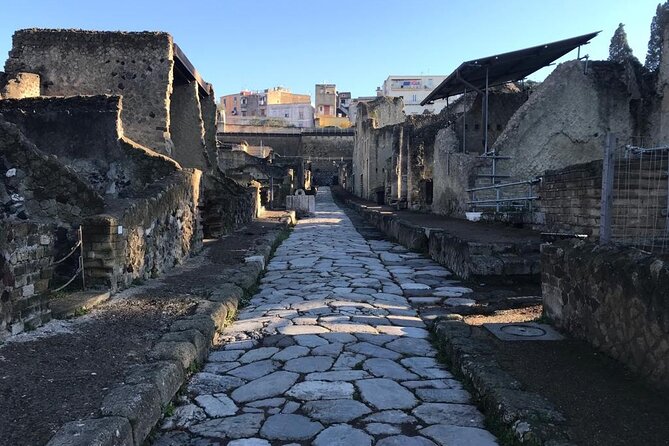 Herculaneum - Private Tour (skip-the-line admission included) - Exploring Herculaneum’s Private Residences