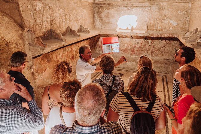 Herculaneum Small Group Tour and Ticket With an Archaeologist - The Guided Experience Led by a Knowledgeable Archaeologist