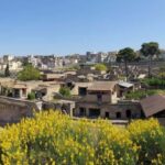 Herculaneum, the ancient pearl of the gulf of Neaples - Highlights of the Archaeological Finds