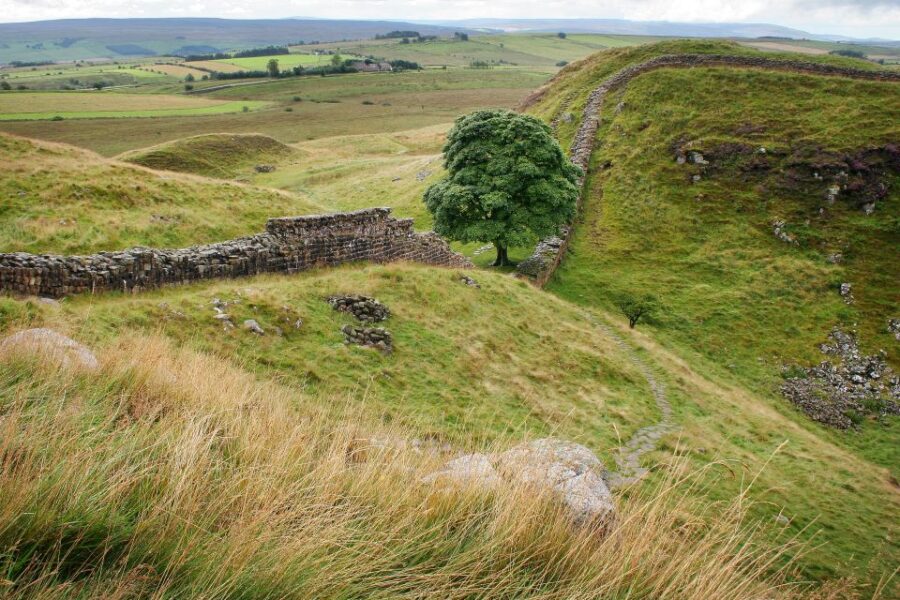 Hexham: Hadrian's Wall and The Romans Full Day Guided Tour - The Starting Point at Cawfield Quarry and the Roman Guide