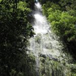Hidden Corners: Levada Walk from Funchal - Starting the Day with Hotel Pickup at 9am