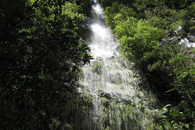 Hidden Corners: Levada Walk from Funchal - Starting the Day with Hotel Pickup at 9am