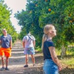 Hidden Paradise Combo Green Lake With Lunch & Boat - Starting Point: Hotel Pickup in Side and Surroundings