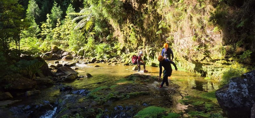High Canyoning: Medium-High Level Canyoning Tour - What Participants Can Expect During the 4-Hour Adventure