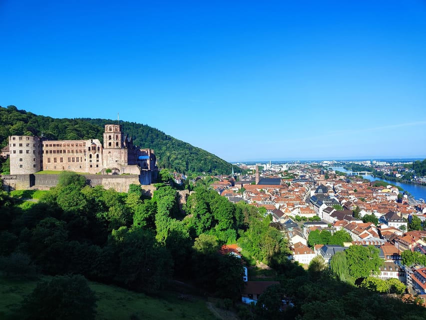 High Lights of Heidelberg - Private Tour of Castle and Town - Inside the German Pharmacy Museum and Student Jail