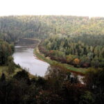 Hike In Gauja National Park - Sigulda - From Riga to Sigulda: Comfortable Transportation for a Day in Nature