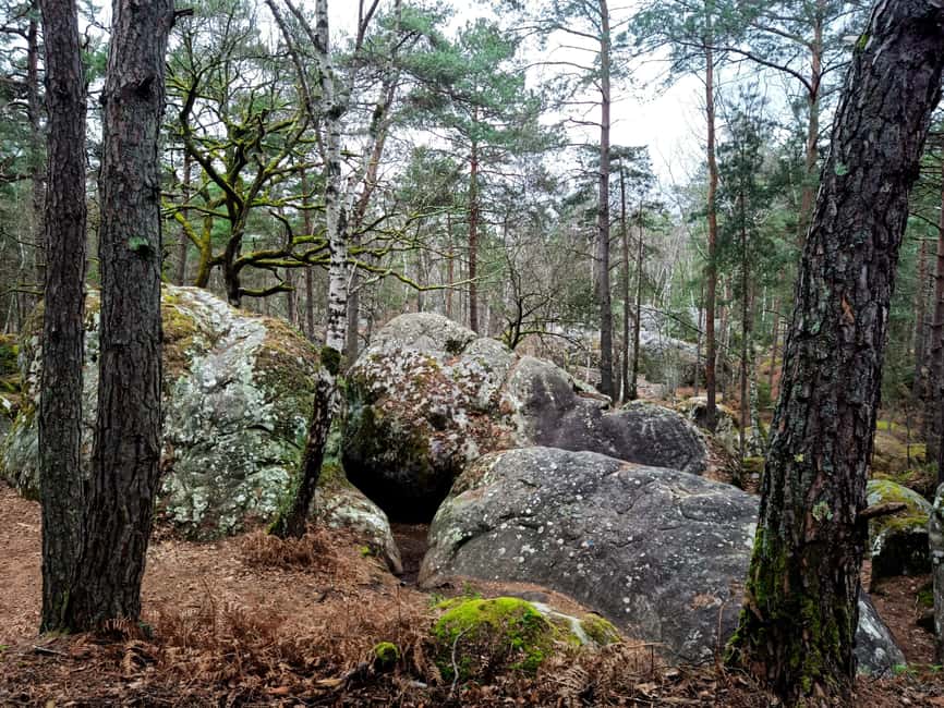 Hiking Adventure in the Fontainebleau Forest - Guided Tour with Storytelling in the Heart of Fontainebleau