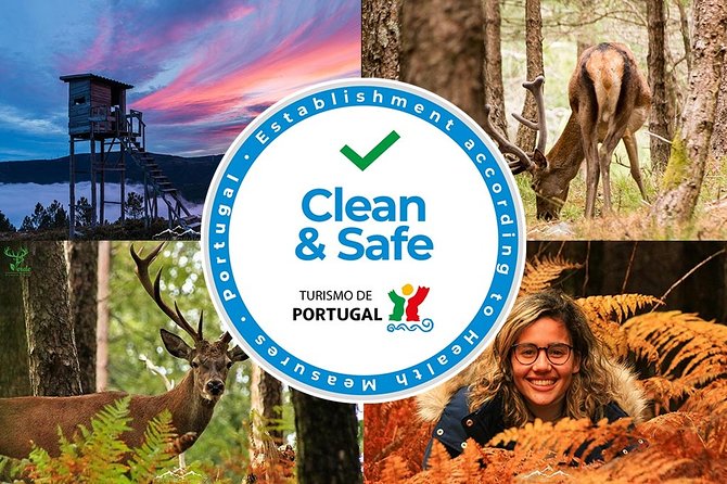 Hiking in Conimbriga and Mouros River Valley - Scenic Hike Through the Mouros River Valley