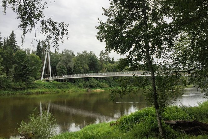 Hiking in Gauja National Park - The 12-Kilometer Trek Through Gauja’s Forests