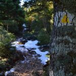 Hiking in Parnitha National Park from Athens - Customizable Routes for All Fitness Levels