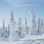 Hiking in Riisitunturi National Park with Photographer - Starting Point and Transportation Logistics in Rovaniemi
