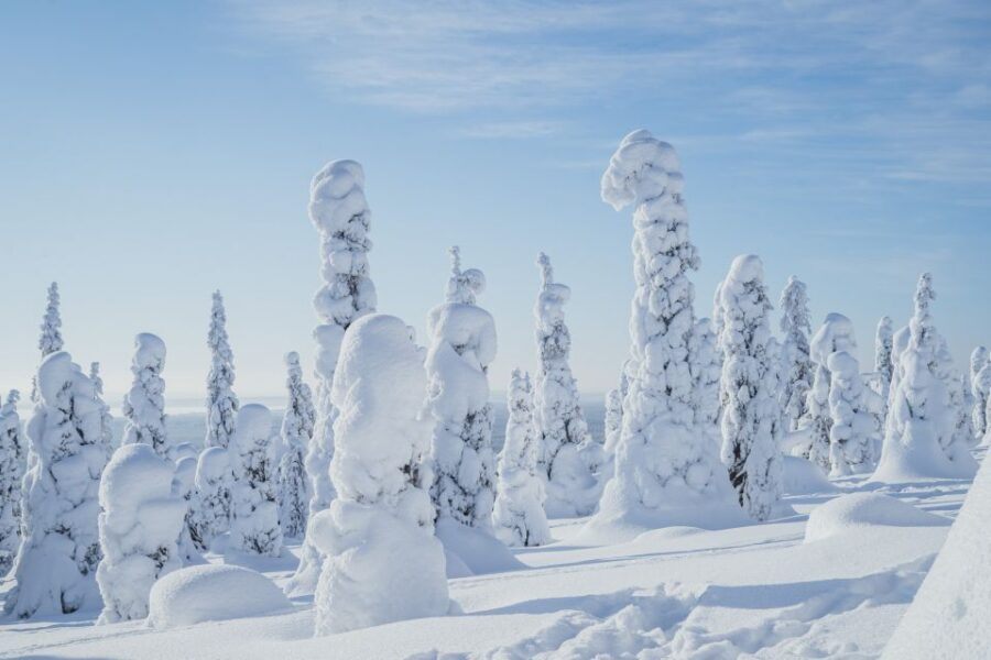 Hiking in Riisitunturi National Park with Photographer - Starting Point and Transportation Logistics in Rovaniemi