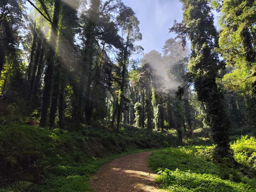 Hiking in Sintra - From the Old Town to the Mountain Heights