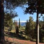 Hiking in the natural park on the outskirts of the Alhambra - Meeting Point and Tour Logistics