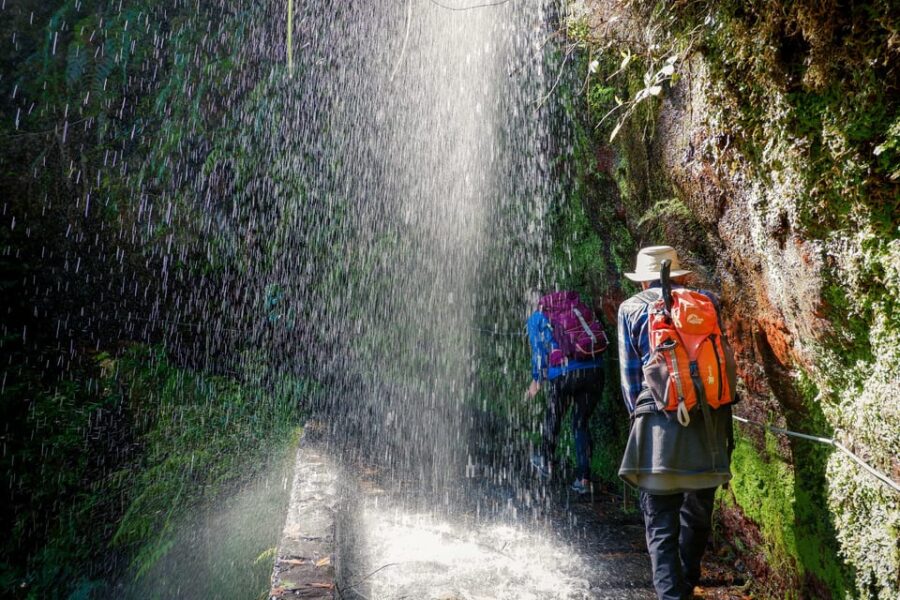 Hiking Madeira: Levada do Rei and the Majestic Laurissilva - Exploring the Laurissilva Forest: A UNESCO World Heritage Treasure