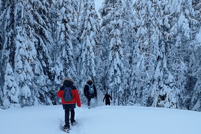 Hiking tour in Nuuksio National Park with meal and snacks - What Makes This Tour Stand Out: Personalized Guidance and Local Flavors
