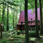 Hiking Tour in the Small Carpathians - In the track of forest people - Exploring the Historic Woodcutter Sites at Piesok