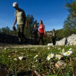 Hiking tour Vidova gora and visiting Museum of olive oil - Navigating the Trail to Vidova Gora