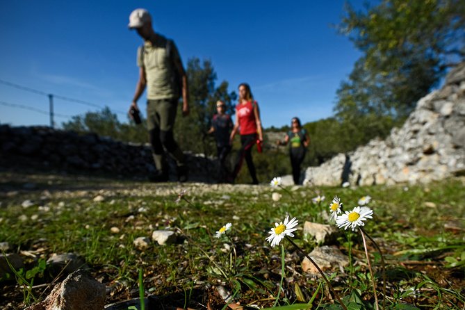 Hiking tour Vidova gora and visiting Museum of olive oil - Navigating the Trail to Vidova Gora