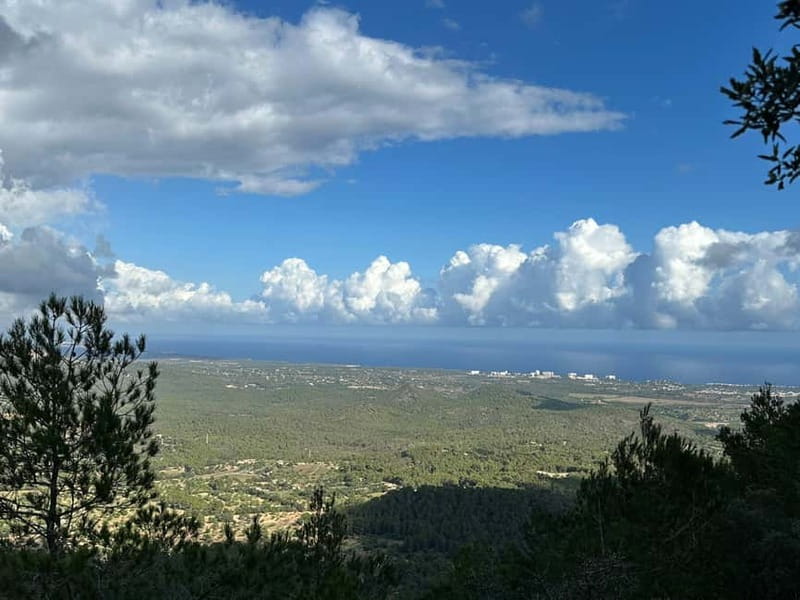 Hiking tour with a dream view of the former monastery of Sant Salvador, 3-4 hours. - Starting Point at Felanitx Cemetery Parking Lot