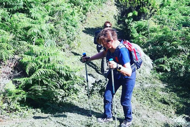 Hiking Trail Baías da Agualva | Terceira Island - Starting Point and Meeting Logistics at Canada Das Baleeiras