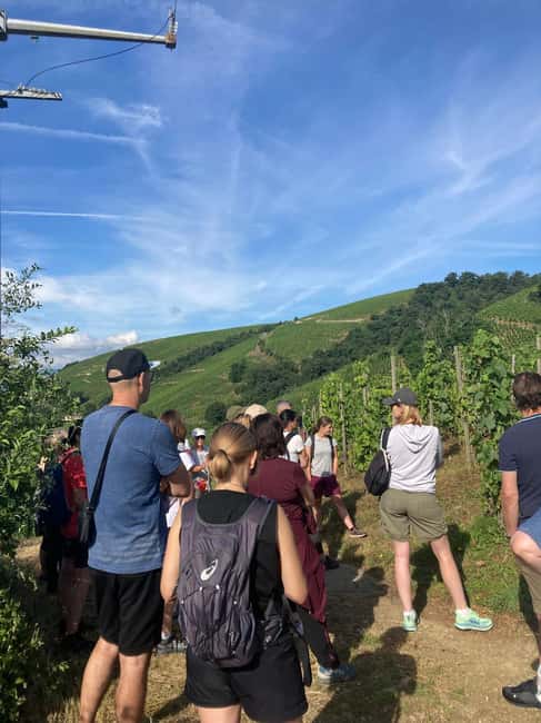 Hiking & Wine between Côte-Rôtie and Condrieu - Gentle Descent and Optional Winery Visit
