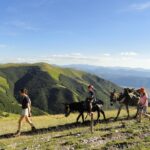 Hiking with donkeys - Managing the Donkeys: Handlers and Riders