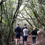 hikking tour in Anaga - Exploring the Hiking Tour in Anaga: An Authentic Canary Islands Experience